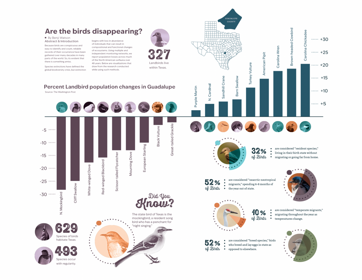 Infographic suite example